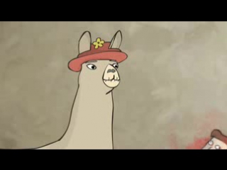 lamas in hats
