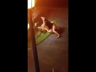girl fight in two her homes