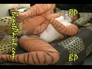 beastpaint - cheetah tiger