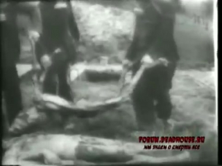 german concentration camps. prohibited film. 18 really scary shots. don't watch if you're mentally ill.